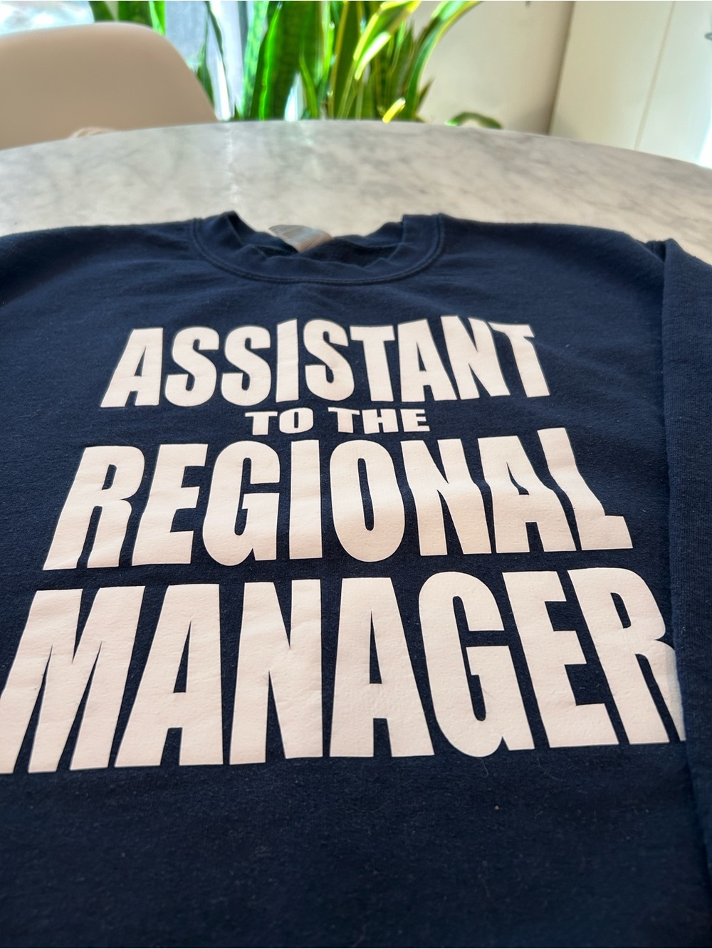 The Office Sweatshirt - Assistant to the Regional Manager Navy Sweatshirt